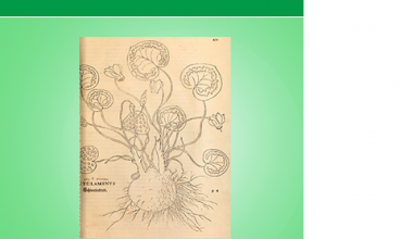 Affiche Le Livre du mois : Fuchs 