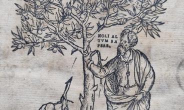 Robert Estienne, Dictionarium latinogallicum, 1538, Bibliothèque Ulm-LSH, L P l 8 B F°